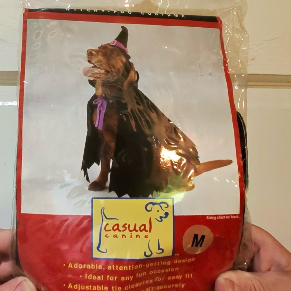 Casual Canine Dog Witch Costume with Black Cape and Purple Hat